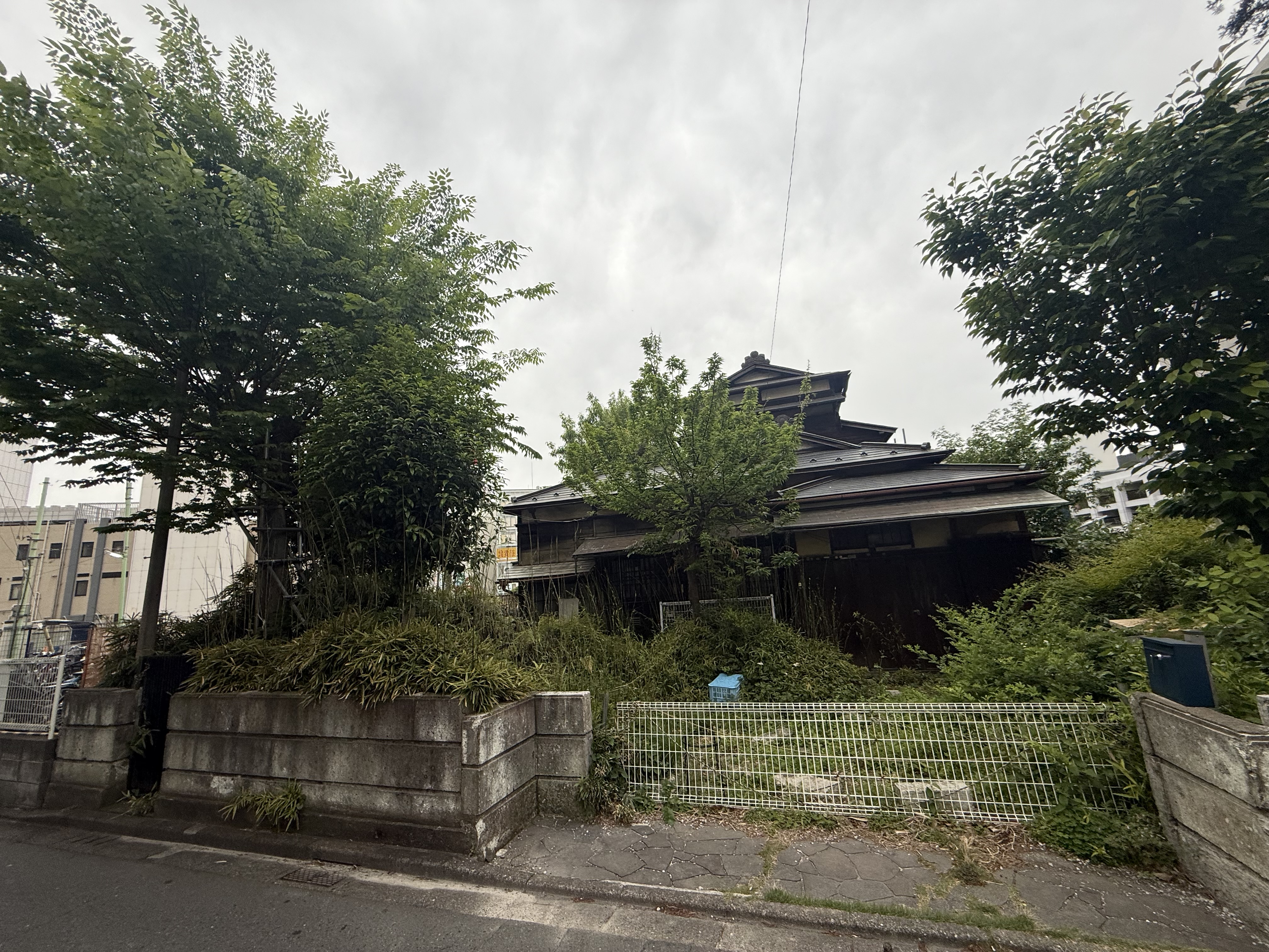 2025.05東京都町田市-登録会員様に 植樹伐採 案件のご紹介をさせていただきました