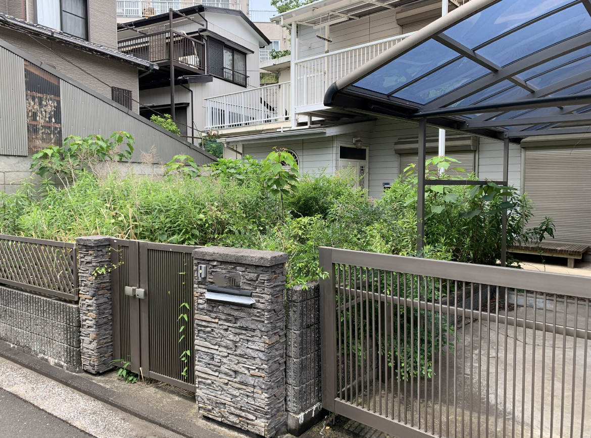 【植栽伐採】2025.06 横浜市保土ヶ谷区-株式会社Z社様への施工紹介