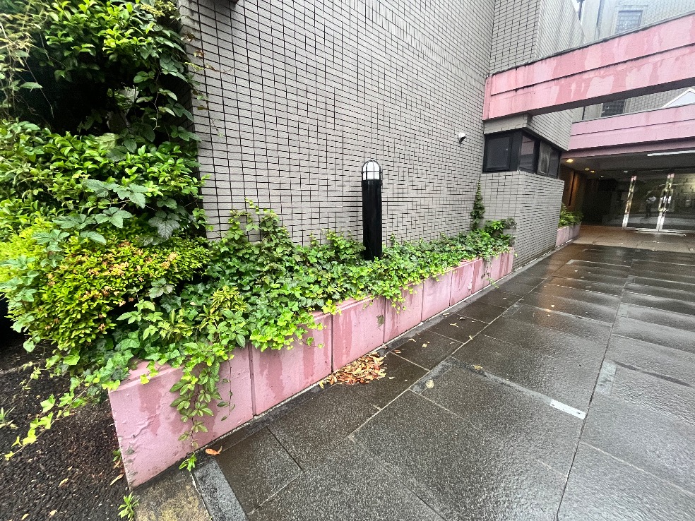 【植栽伐採】2025.07 東京都世田谷区-株式会社ZO社様への施工紹介