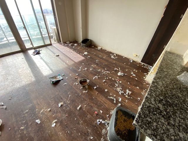 【東京都品川区】不動産業者T企画様から特殊清掃依頼→不用品回収業者の株式会社I様が施行しました